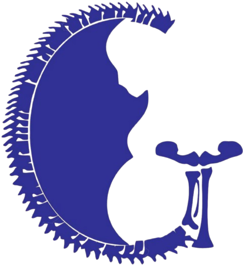 Gangwars’ Prime Care Orthopaedics & Obs. Gynae. Clinic